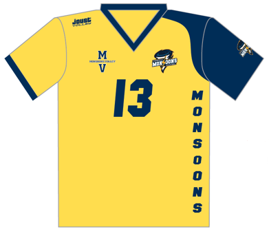 Monsoons-Libero-Top---Yellow